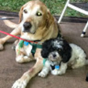 Meet your Posher, Janet